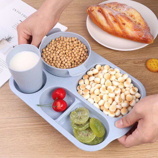 Khay đựng cơm lúa mạch gồm 6 chi tiết, khay chia nhiều ngăn