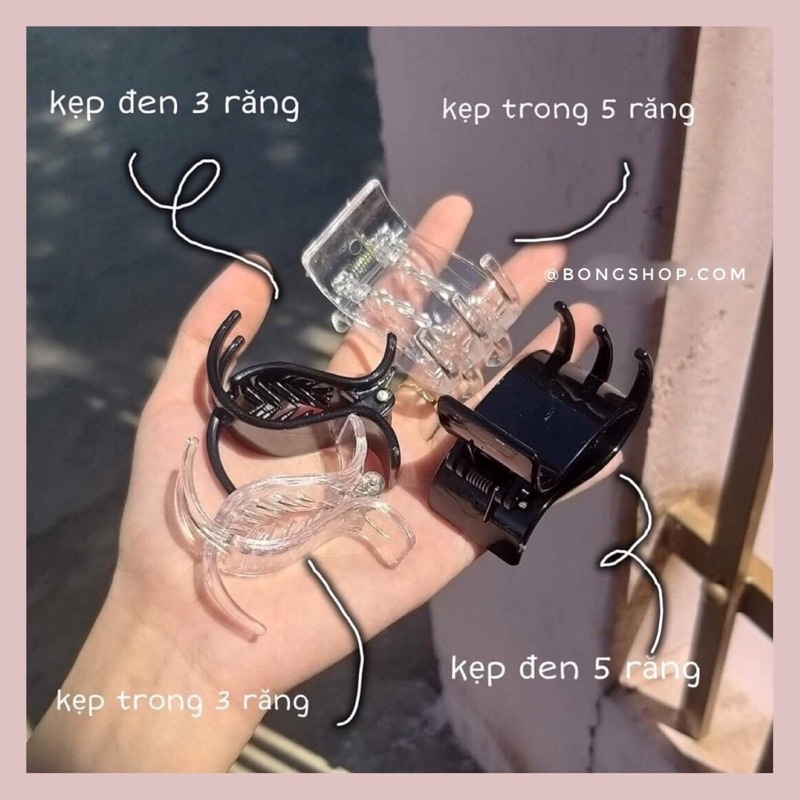 SET 12 kẹp càng cua dẻo bền,to