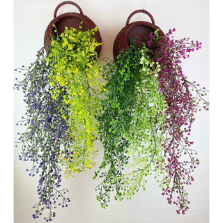 Chùm dây leo rong biển decor- Cây hoa trang trí