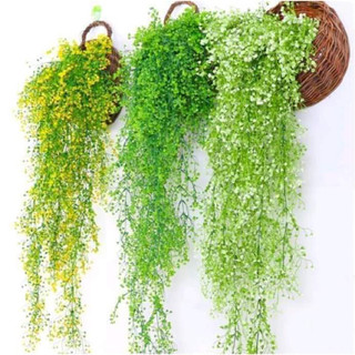 Chùm dây leo rong biển decor- Cây hoa trang trí