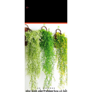 Chùm dây leo rong biển decor- Cây hoa trang trí