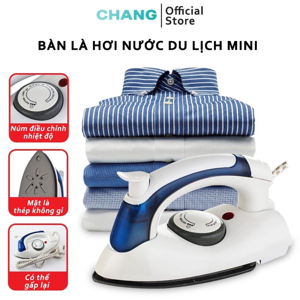 Steam Iron Image