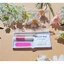 combo hộp đựng nail box, vỏ đựng nail 20 hộp