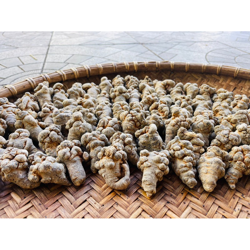 Tam Thất Bắc Khô Nguyên Củ – Tam Thất Tây Bắc – Loại Củ Già, Sạch, Khô Tự Nhiên