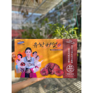 (Date 6/2027) Nấm Linh Chi Hàn Quốc Thái Lát Cô Gái Hộp 1Kg