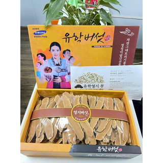(Date 6/2027) Nấm Linh Chi Hàn Quốc Thái Lát Cô Gái Hộp 1Kg