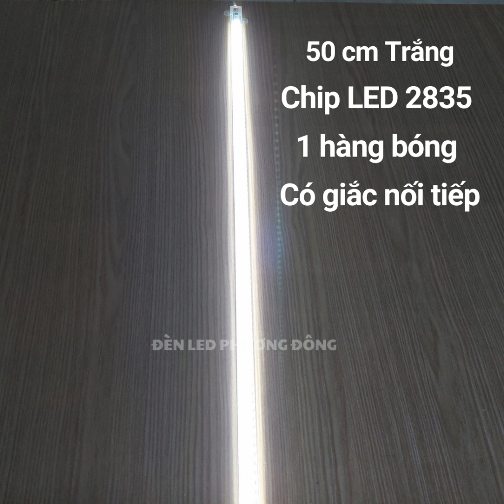 Combo 2 Đèn LED thanh 220V 1 hàng bóng 2835 - Trắng, Vàng, Đỏ, Xanh Lá, Xanh dương, Hồng 50cm