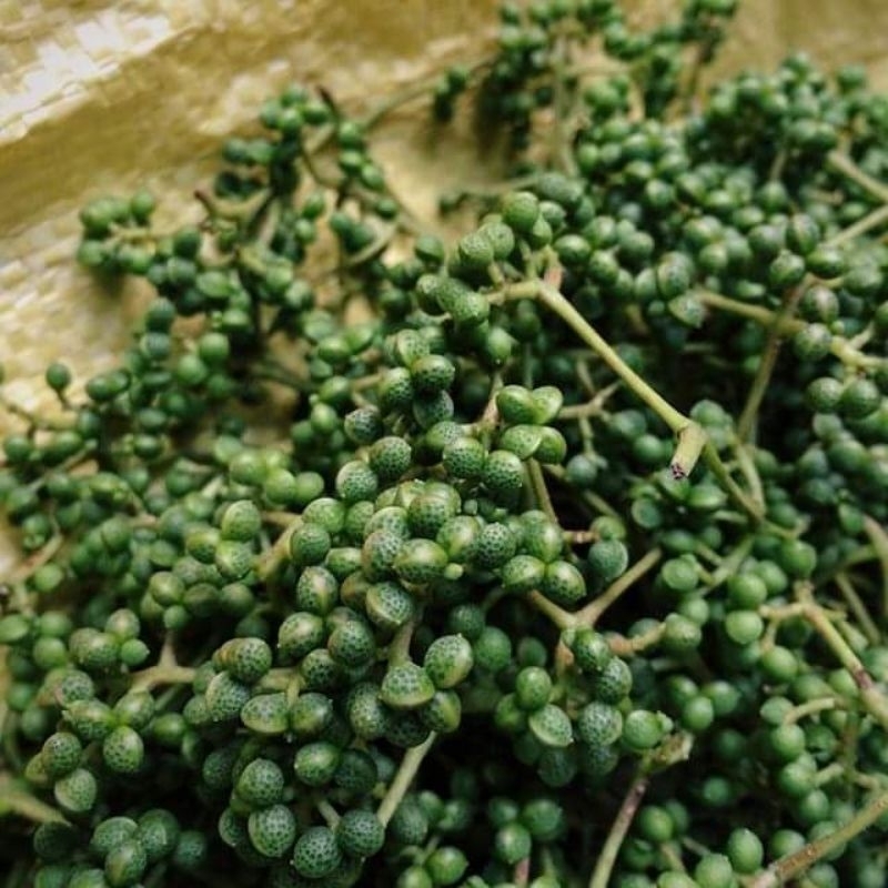 Hạt tiêu rừng Măng Đen thơm mùi sả chanh Túi 500 g /1 Kg | Shopee Việt Nam