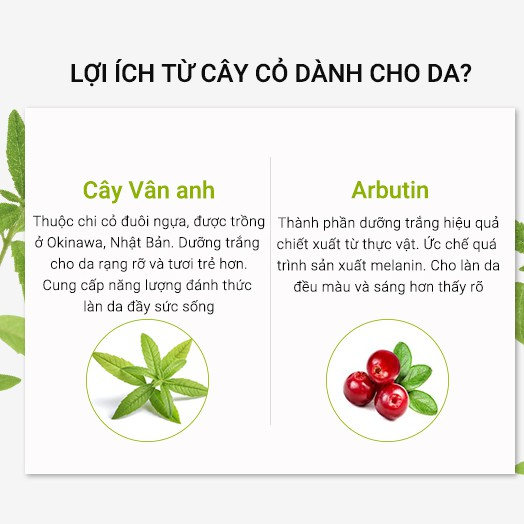 Combo 3 mặt nạ chăm sóc da hoàn thiện trắng sáng dưỡng ẩm Neogence Đài Loan