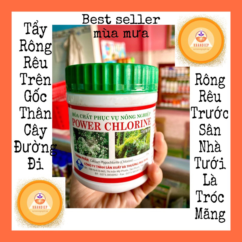 Tẩy sạch rong rêu power chlorine hộp 300g | Shopee Việt Nam