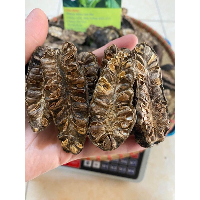 Quả nhàu khô(trái nhàu) giúp tiêu hóa dễ dàng, lợi tiểu, nhuận trường, ổn định huyết áp, tăng cường miễn dịch