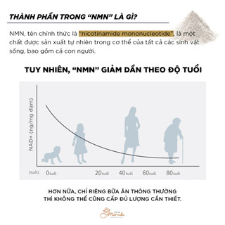 [NMN] Thực phẩm bổ sung NMN 18000mg - Viên nang kháng axit (Resveratrol L-Cystine 90 viên)