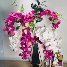 100ml Phân Bón lá NPK Chuyên Dùng cho Lan Breed-DT02 (6-8-6) Orchid Bloom