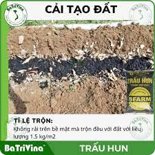 Trấu hun nguyên cánh SFARM 20dm3