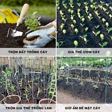 Trấu hun nguyên cánh SFARM 20dm3