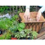 THảm Xơ Dưà Cao Cấp Trồng Lan 50*50CM (1 Tấm)