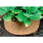 THảm Xơ Dưà Cao Cấp Trồng Lan 50*50CM (1 Tấm)