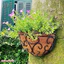 THảm Xơ Dưà Cao Cấp Trồng Lan 50*50CM (1 Tấm)