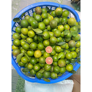1kg Chanh Đào Tươi Hoà Bình ( Chanh cuối mùa)