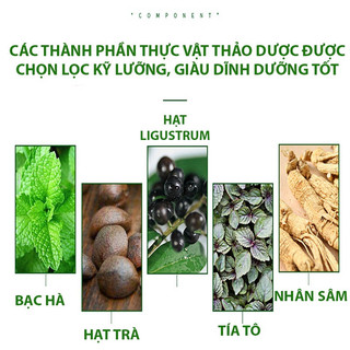 Dầu gộI bạc hà polygonum mul tiflorum sampoo 300ml dầu gộI sạch gầu giảm rụng tóc