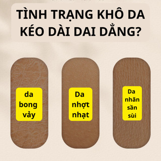 Sữa dưỡng ẩm toàn thân body phục hồi da trắng sáng căng mịn đánh tức thì 260ml