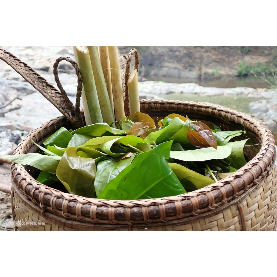 Combo 2kg - RAU BÉP RỪNG K'LONG