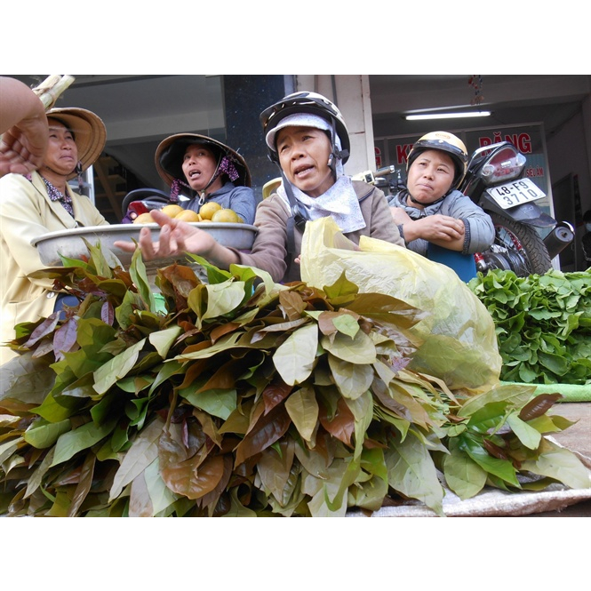 RAU BÉP RỪNG K'LONG | Shopee Việt Nam