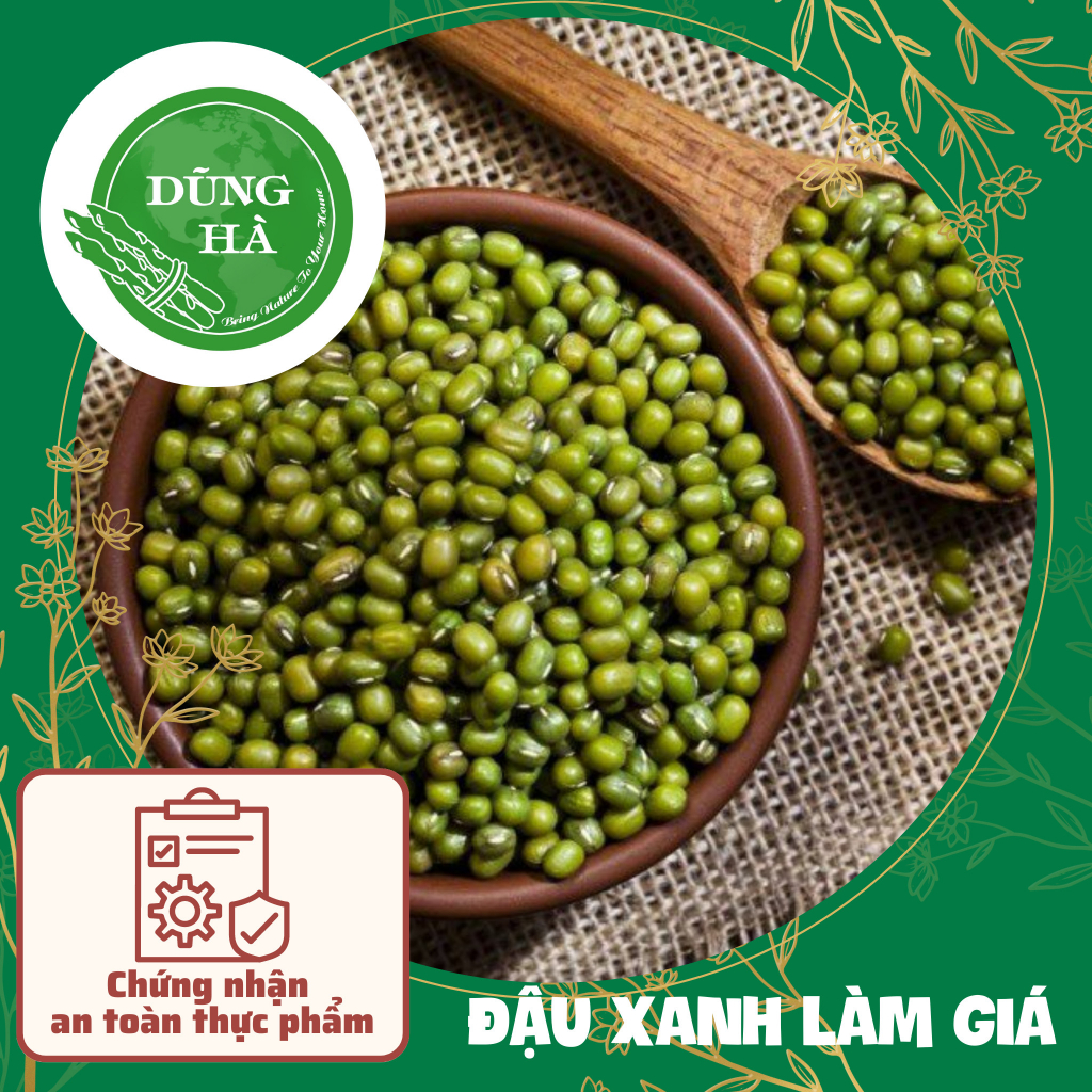 Đậu Xanh (Đỗ Xanh) nguyên hạt làm Giá Đỗ chất lượng Loại 1/ Hàng công ...