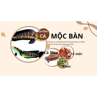 TÔ MỘC lõi đỏ 100g nấu nước dưỡng màu cá lóc vẩy rồng