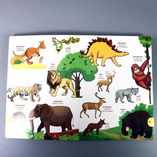 [chính hãng] Sách bách khoa hình ảnh đầu tiên cho bé - McBooks