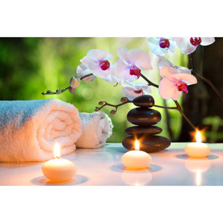 TRANH LỤA KIM SA CHỦ ĐỀ TRANH SPA, THẨM MỸ VIỆN TẶNG KÈM KEO