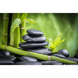 TRANH LỤA KIM SA CHỦ ĐỀ TRANH SPA, THẨM MỸ VIỆN TẶNG KÈM KEO