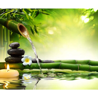 TRANH LỤA KIM SA CHỦ ĐỀ TRANH SPA, THẨM MỸ VIỆN TẶNG KÈM KEO