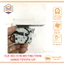 Xi nhan Tinhtong,Xi Nhan Kêu Ting tong Toyota Denso Nhật Bản THÙY LINH TOOLS