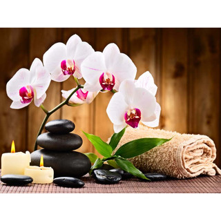 Tranh Lụa Treo Tường Spa dưỡng sinh thảo dược, chăm sóc da đông y