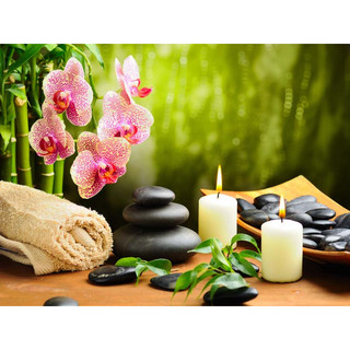 Tranh Lụa Treo Tường Spa dưỡng sinh thảo dược, chăm sóc da đông y