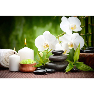 Tranh Lụa Treo Tường Spa dưỡng sinh thảo dược, chăm sóc da đông y