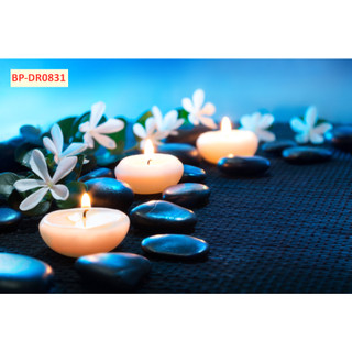 TRANH LỤA CHỦ ĐỀ TRANH SPA, THẨM MỸ VIỆN, GIÁC HƠI, XÔNG HƠI MÁT XA ĐÁ TẶNG KÈM KEO