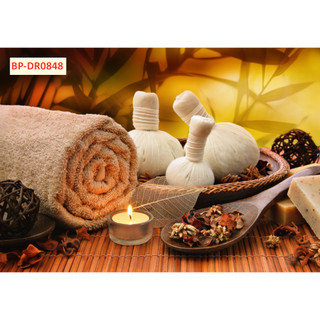 TRANH LỤA CHỦ ĐỀ TRANH SPA, THẨM MỸ VIỆN, GIÁC HƠI, XÔNG HƠI MÁT XA ĐÁ TẶNG KÈM KEO