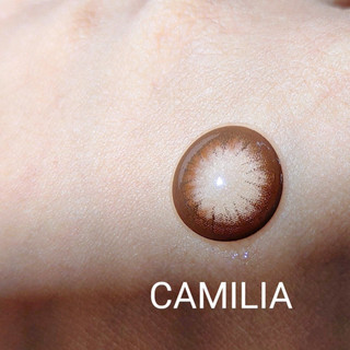SIHY – Kính áp tròng, Lens [CẬN] Camilia màu nâu trầm, độ mắt 0 đến 6 độ, chống tia UV++