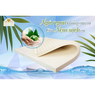 Đệm Cao Su Thiên Nhiên ĐỆM HÀ NỘI - Nệm Cao Su Princess Gold Giúp Nâng Đỡ Theo Đường Cong Cơ Thể Tạo Sự Dễ Chịu