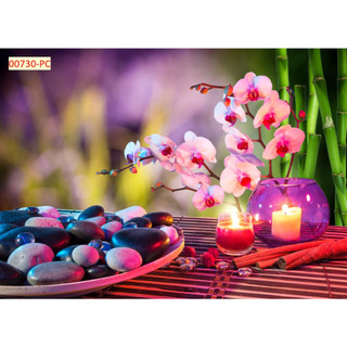 Tranh lụa dán phòng spa thẩm mỹ viện dưỡng da, gội đầu dưỡng sinh, quán gội đầu