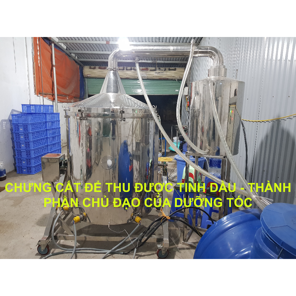 Nước dưỡng tóc tinh dầu bưởi Origin [Ngăn rụng, kích mọc tóc an toàn] - Tinh dầu bưởi xanh tự nhiên - 100ml