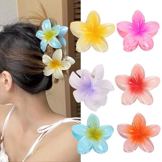 Kẹp Tóc Hoa Sứ Đi Biển Giá Tốt Tháng 10, 2023 | Mua Ngay | Shopee Việt Nam