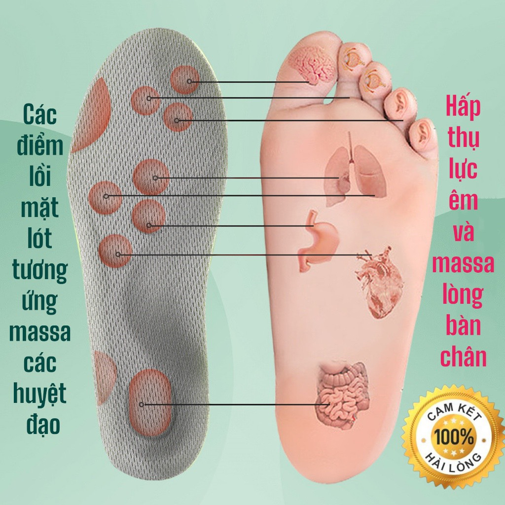 Lót giày cao su non chuẩn 4D,lót giày bộ đội,thể thao,lao động,giày bộ đội, giảm mùi hôi, êm thoáng