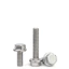 1 cái M6,M8,M10 Bulong liền long đen inox304 M6-M10