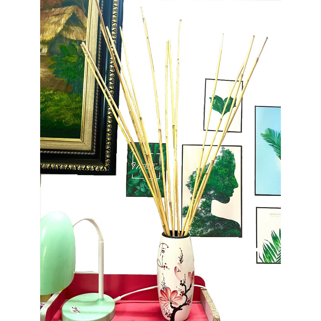 Combo 4 Cây Mây Dẻo Dai - Dài 80cm Dùng Để Trang Trí