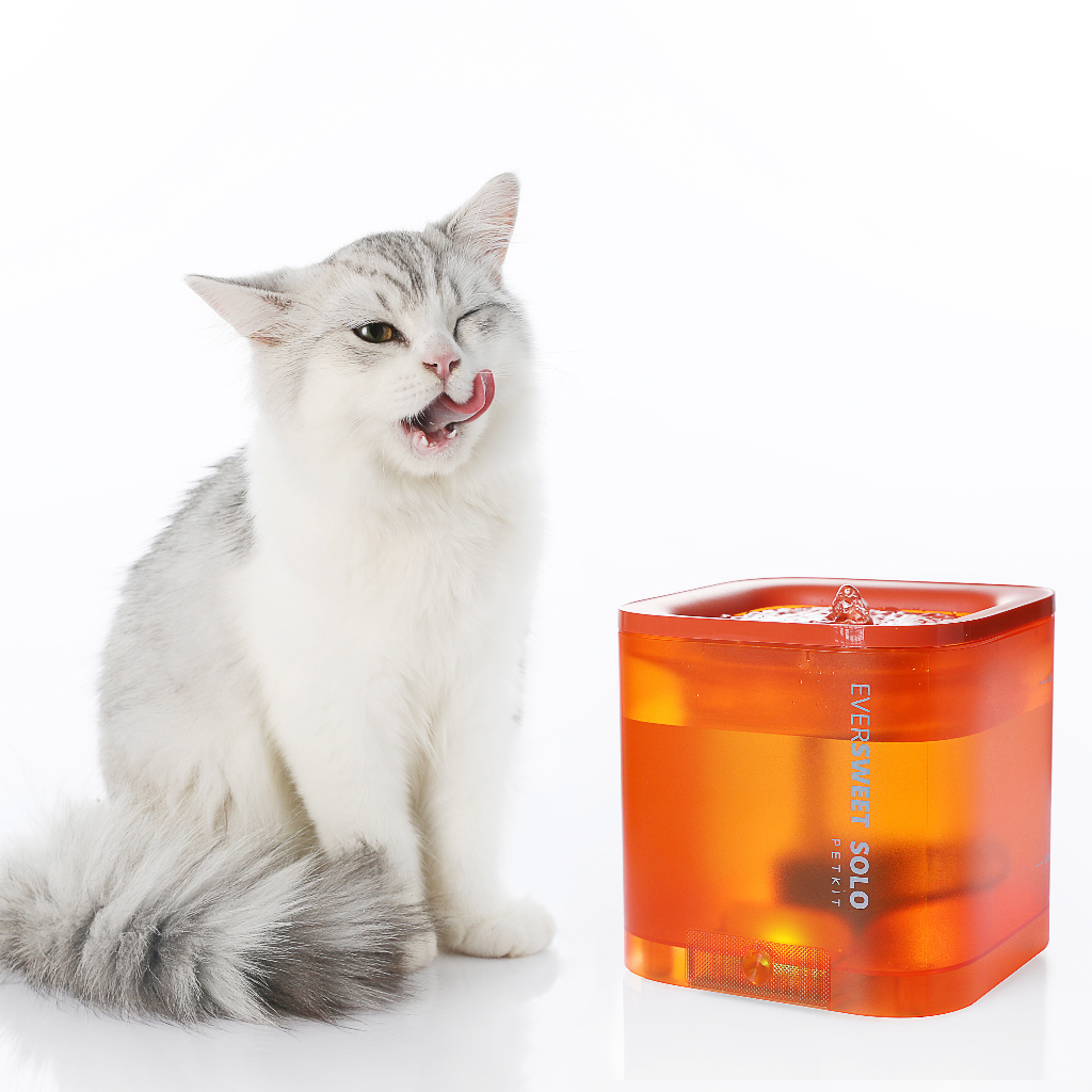 Ảnh Ống Cao Su Máy Lọc Nước Cho Thú Cưng PETKIT Eversweet SOLO, SOLO SE, 2S, 3, 3 Pro, 3 Pro UVC, 6, 7 2
