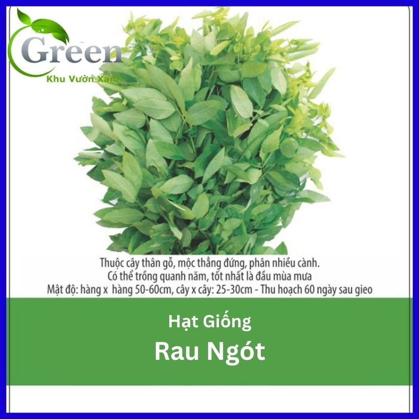Hạt Giống Rau Ngót Dễ Trồng, Dễ Chăm Sóc, Thu Hoạch Liên Tục | Shopee ...