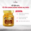 Yến Sào Fobenest Đông Trùng Hạ Thảo 42% Yến N2 - Lọ 70ml